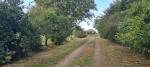 Vente bretagne finistere - Miniature