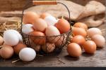 Oeufs frais - Miniature