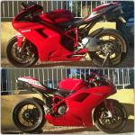 Ducati sbk 1098s - Miniature
