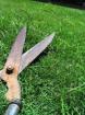 Jardinier propose ses services - Miniature