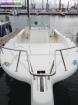 Kelt white shark 225 - Miniature