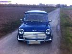 Austin mini e collection - Miniature