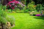 Entretien régulier de vos espaces verts et potager - Miniature
