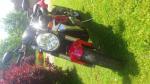 Mv agusta 750 brutale 2005 - Miniature