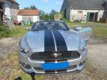 Mustang cabriolet - Miniature