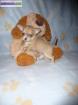 Magnifique chiot chihuahua male - Miniature