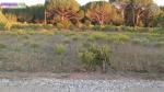 Terrain constructible - Miniature