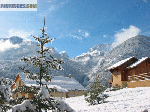 Location saisonniere - Miniature