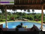 A vendre en rd villa bali fantastique vue sur mer à 180°... - Miniature