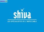 Shiva - Miniature
