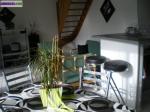 Appartement t3 duplex - Miniature