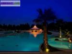 Venez faire la fete a la carabasse - Miniature
