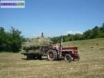 Vend fopin et paille - Miniature
