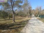 4 terrains de 2500m2 - Miniature