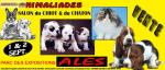 1/2 sept 2012 ales animaliades 5è samp - Miniature