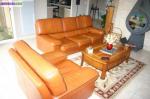 Salon cuir - Miniature